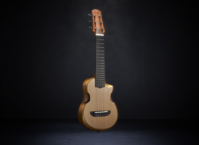 Ibanez AUP10N-OPN - Guitalele / Piccolo Ukulele Open Pore Natural