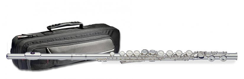 Stagg WS-211S - priečna flauta C