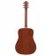 Alvarez RD 26 (N) - akustická kytara levoruká