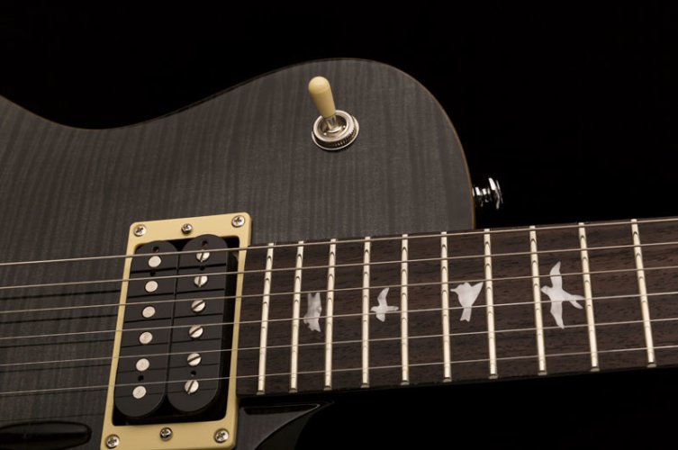 PRS 2018 SE Tremonti Gray Black - Elektrická kytara