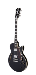 D'Angelico Premier SS Black Flake - elektrická kytara