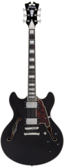 D'angelico Premier DC Black Flake - elektrická kytara