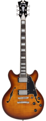 D'Angelico Premier Mini DC Dark Iced Tea Burst - elektrická kytara