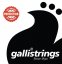Galli GSL11 Silk & Steel Medium - struny do gitary akustycznej