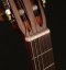 Cort AC 160 CFTL - Klasická gitara