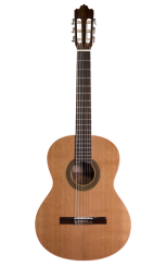 Prodipe Guitars Recital 200 4/4 - klasická gitara