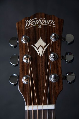 Washburn WCG 20 SCE (N) - elektroakustická gitara