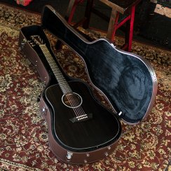 Washburn GC F DLX