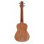Laila UFG-2311-A RAINSQUARE - koncertné ukulele