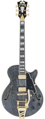 D'Angelico Excel SS Black Dog - elektrická kytara