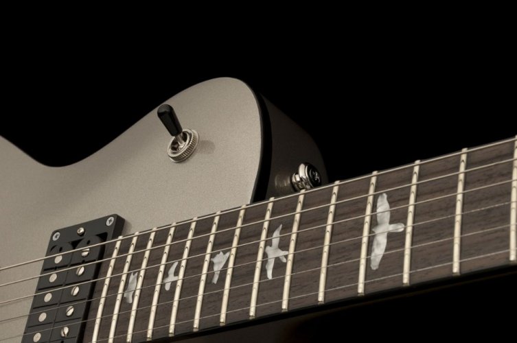 PRS SE Standard 245 PL - Elektrická kytara