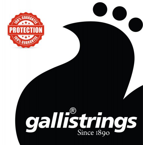 Galli RA20 Light - Struny pro akustickou gitaru