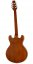 Aria TA-TR1 (STBR) - Elektrická gitara