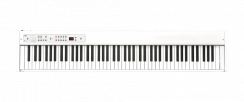Korg D1 WH - Digitální piano