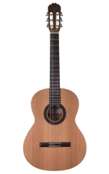 Prodipe Guitars Student 4/4 - klasická gitara
