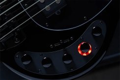 Sterling DARKRAY (BK-E2-WB) - basgitara