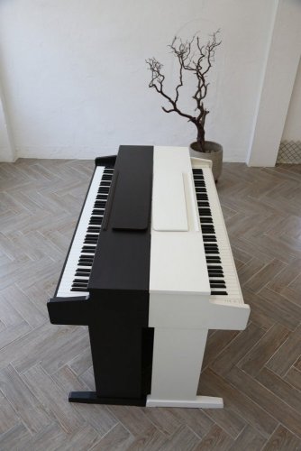 Dynatone SLP-260 BLK - pianino cyfrowe