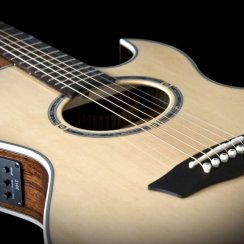 Washburn EA 20 SNB (N) - elektroakustická kytara