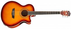 Washburn EA 15 (ITB) - elektroakustická gitara