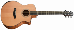 Walden G 2070 RCEH (N) - elektroakustická gitara