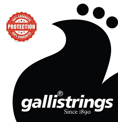 Galli GSB10BE Ball End Light - struny do gitary akustycznej