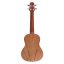 Laila UFG-2311-A PALMS - koncertní ukulele