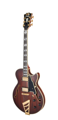D’Angelico Deluxe SS Brown Burst - elektrická kytara