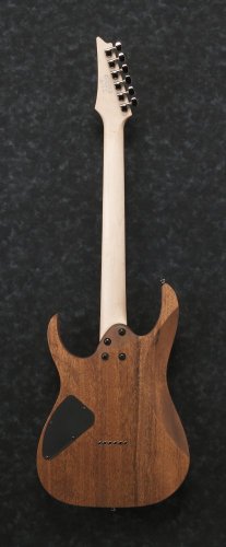 Ibanez RG421-MOL - elektrická gitara