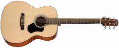 Walden O 450 W (N) - akustická kytara