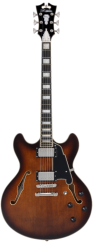 D'Angelico Premier DC Brown Burst - elektrická kytara