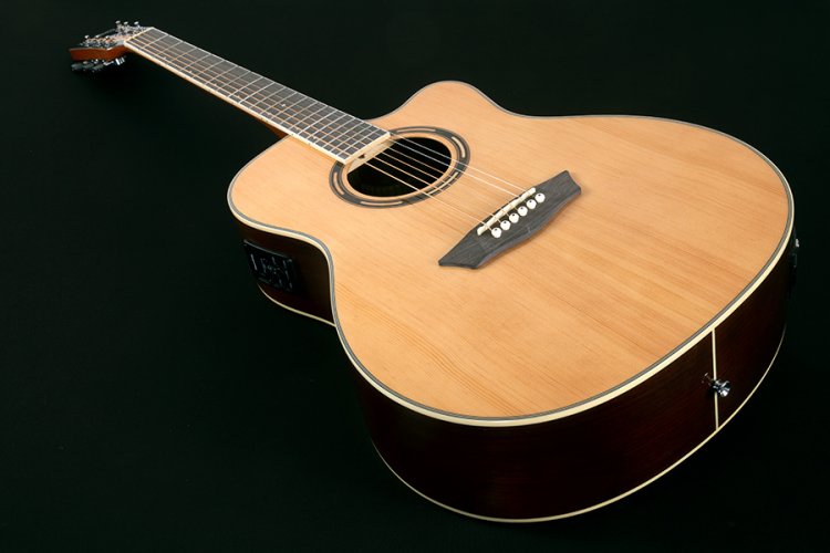 Washburn AG 70 CE (N) - elektroakustická gitara