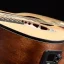 Walden G 550 RCEL (N) - elektroakustická gitara ľavoruká