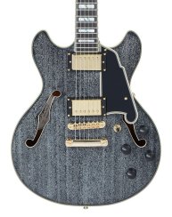 D'Angelico Excel Mini DC Black Dog - elektrická kytara