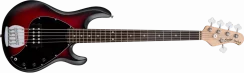 Sterling Ray 5 (RRBS) - elektryczna gitara basowa