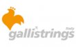 Galli strings - seznam produktů