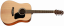 Walden D 350 W (N) - akustická kytara
