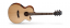 Cort SFX E NS - Elektroakustická kytara