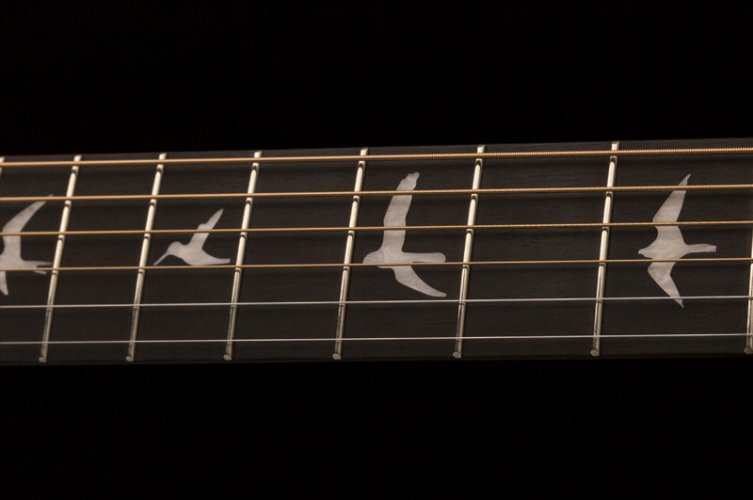 PRS 2018 SE T40E Tonare- Elektroakustická kytara