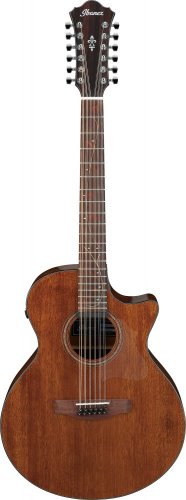Ibanez AE2912-LGS - elektroakustická kytara