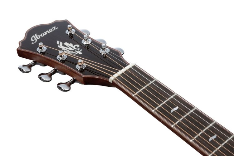 Ibanez MRC10-NT - elektroakustická kytara