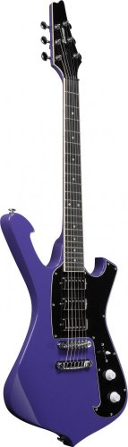 Ibanez FRM300-PR - elektrická kytara