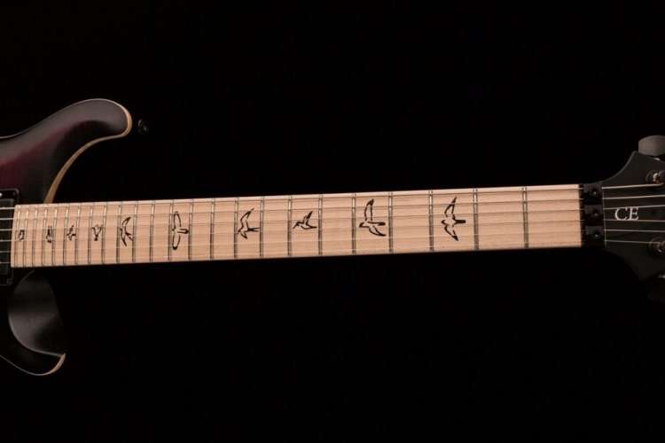 PRS DW CE 24 “Floyd” Limited Edition - Elektrická kytara, signature