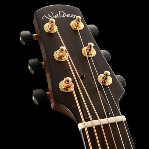 Walden B 1 EH (N) - elektroakustická barytonová kytara