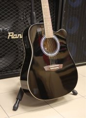 Washburn WA 90 CE (B)