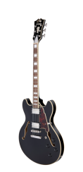 D'Angelico Premier DC Solid Black - elektrická kytara
