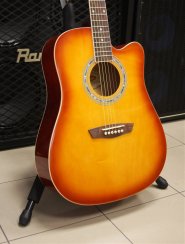 Washburn WA 90 C (TS)