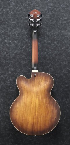 Ibanez AF55-TF - elektrická gitara