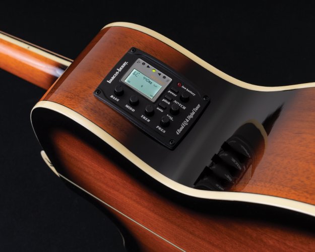 Washburn EA 15 (ITB) - elektroakustická kytara