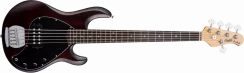 Sterling Ray 5 (WS) - elektrická basgitara