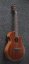 Ibanez AEG220-LGS - elektroakustická gitara